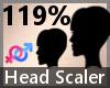 Head Scaler 119% F A