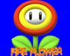 [NW] Fire Flower