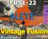 RAVE Vintage Fusion 147B