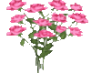 animated roses blooming