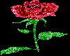 A Sparkling Red Rose gif