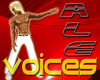 Ale's Voices