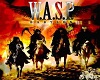 WASP Poster