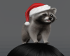 Xmas Head Racoon
