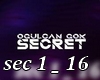 Ogulcan Gok Secret