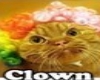 clown cat