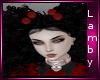 *L* Derivable Dolly