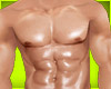 {N} Oiled Body Tone1 *