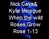 Nick&kylie-Where Wild ro