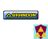 Brandon VIP Sticker