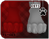 [Pets] Gol | paws v1