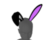 Neon Bunny Ears Purple