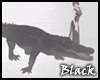 BLACK croc