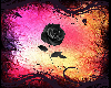 Black rose background