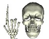 Animated Skull