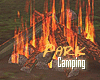 SM/Campfire