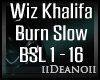 Wiz Khalifa - Burn Slow