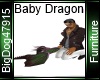 [BD] Baby Dragon