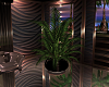 TERRA POTTED PLANT