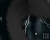 Fluffy Cat Tail