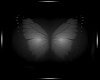 Butterfly Effect Frame