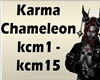 karma chameleon remix