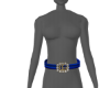 PW/ Designer Belt