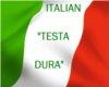 Special Italian Flag
