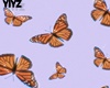 Background Butterfly