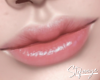 S. Lipstick Nina Rose