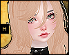 H+ Mina Copper