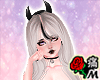 蝶 Shy Cat