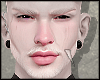 s. Mesh Valder
