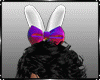 Bunny Bows Full Fit
