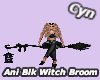 Ani Blk WItches Broom