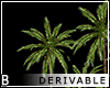 DRV Palm Trees 1