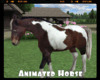 *Animated Horse