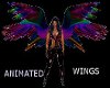 Coloful Animated Wings