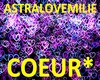 LIGTH COEUR