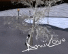 Snow Kiss Tree