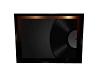 ELEGANT RECORD PICTURE