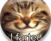 I Farted Button2 (Kitty)