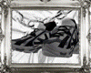𝕽. Belancy sport