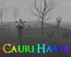 Misty Graveyard 2B