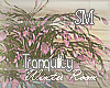 [SM]Tranquility_Plant