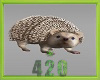 Cute hedgehog