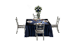 blue silver geuest table
