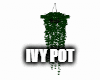 Monster Ivy Pot