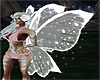 Sparkling Fairy wings