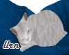 Cute Sleeping Snow  Cat